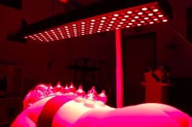 Red Light & PEMF Therapy